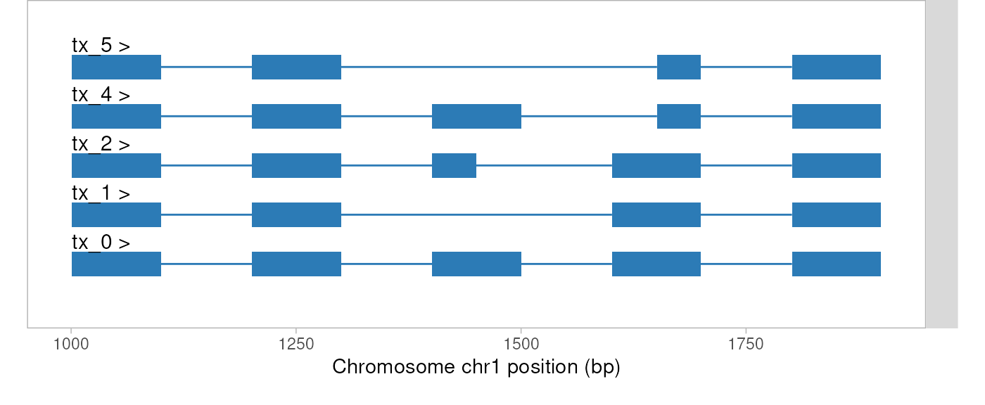 Exon structures of the five synthetic transcripts of gene_1