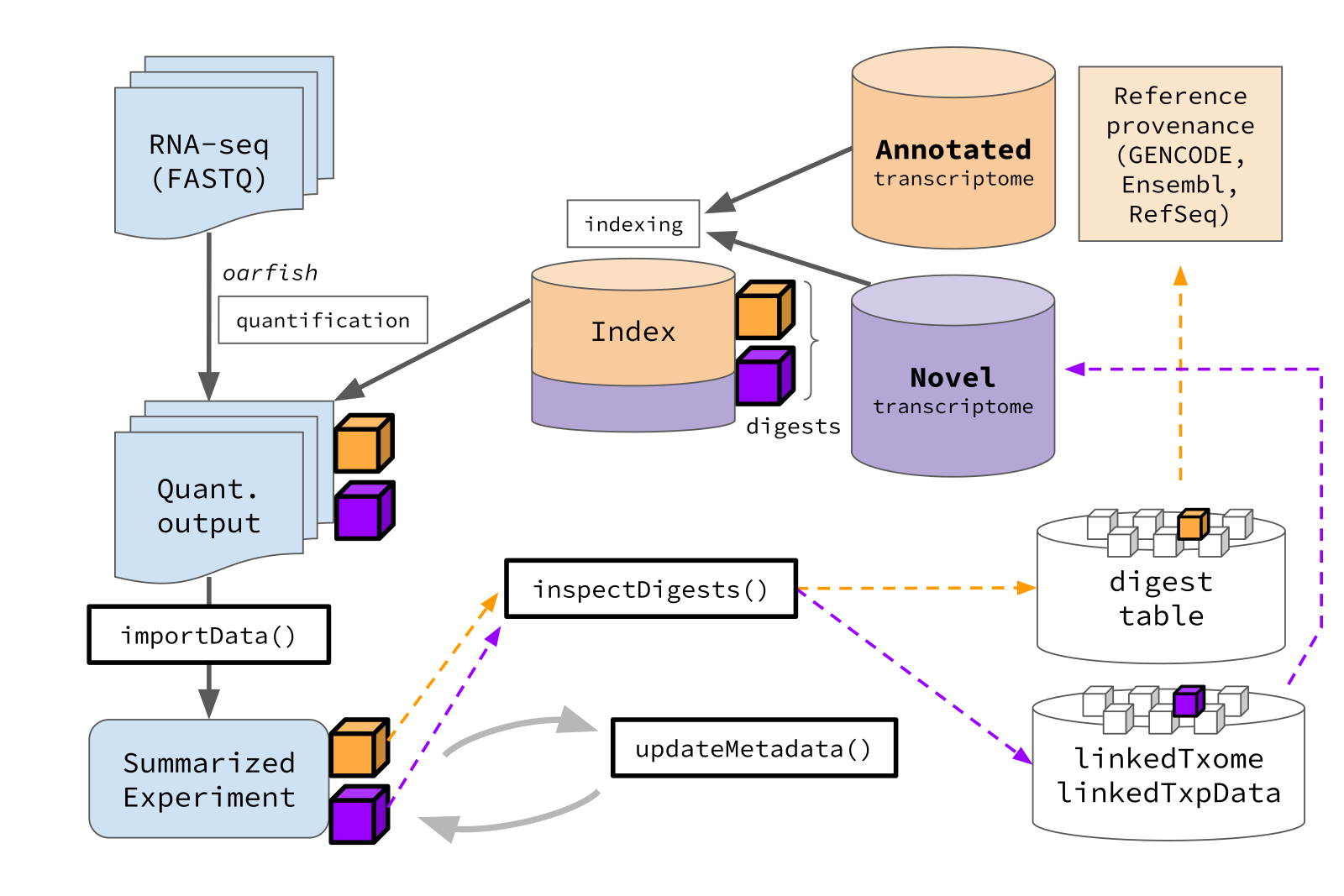 Diagram of tximeta mixed reference workflow